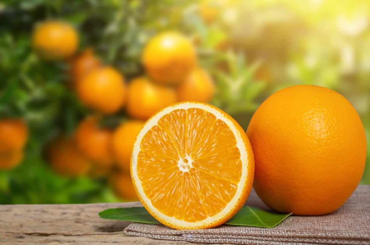 Qué beneficios nos aporta la naranja